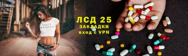 прущие грибы Баксан