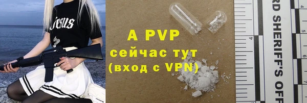 прущие грибы Баксан