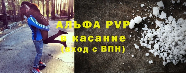 прущие грибы Баксан