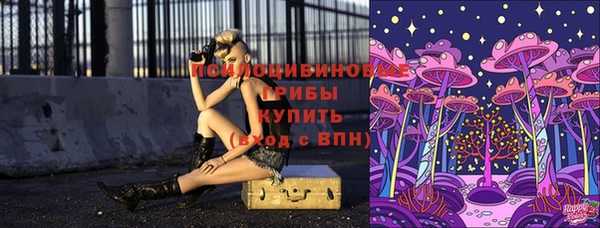прущие грибы Баксан
