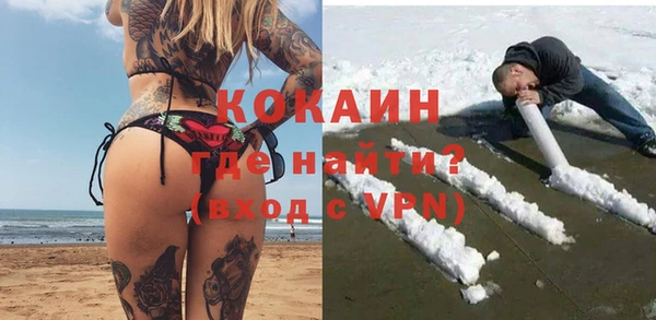 прущие грибы Баксан