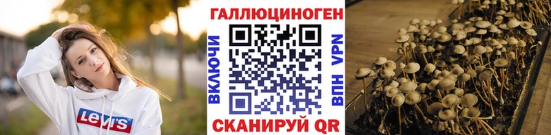 даркнет как зайти  даркнет сайт  Обь  Псилоцибиновые грибы мицелий 
